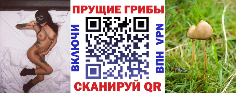 Псилоцибиновые грибы ЛСД  как найти закладки  Вуктыл 